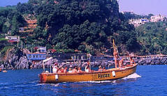 escursioni Ischia