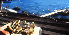 pesca a Ischia